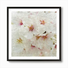 Cherry Blossoms 1 Art Print