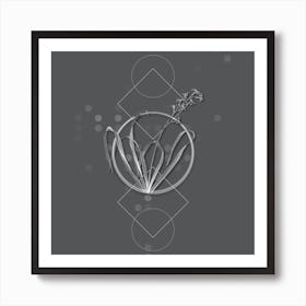 Vintage Dutch Hyacinth Botanical with Line Motif and Dot Pattern in Ghost Gray n.0031 Art Print