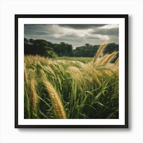 Field Of Wheat 4 Art Print