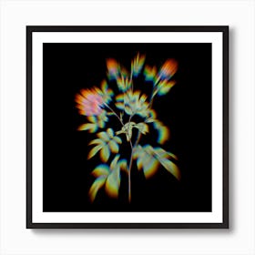 Prism Shift Vintage Cinnamon Rose Botanical Illustration on Black n.0413 Art Print