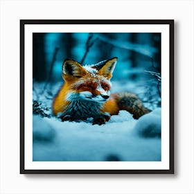 Red Fox In The Snow Art Print