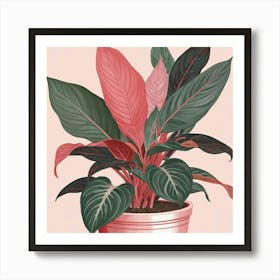 Pink And Red Plant Illustration Chinese Evergreen Art print Art Print