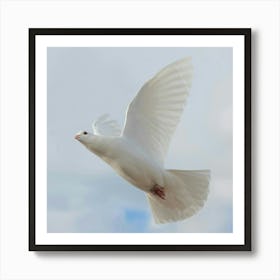 White Dove In Flight Art Print