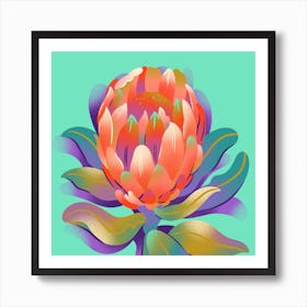 Protea Flower On Mint Art Print