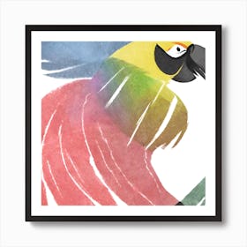 Parrot Affiche