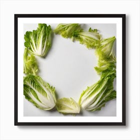 Lettuce Leaves In A Circle Art Print