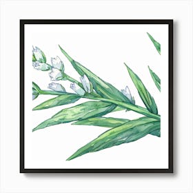 Lily Of The Valley 2 Art Print