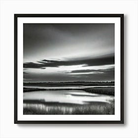 Black And White Photograph - Marsh Art Print