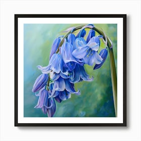 Bluebells Art Print