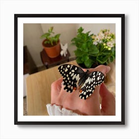 Butterfly Art Print