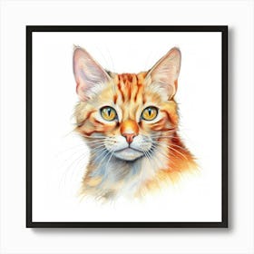 Mandarin Cat Portrait 2 Art Print