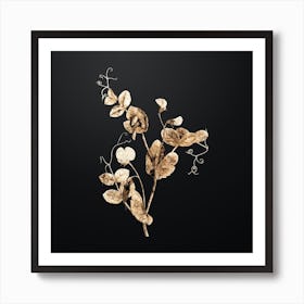 Gold Botanical White Pea Flower on Wrought Iron Black Art Print