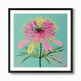 Love In A Mist 6 Square Flower Illustration Art Print