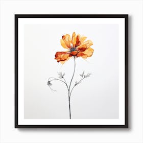 Orange Poppy Art Print