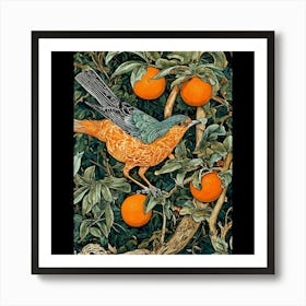 Robin In The Orange Tree Art Print