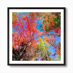 New England Fall Splendor - The Colors of Autumn Art Print