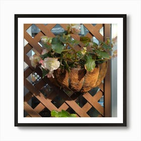 Hanging Basket Art Print