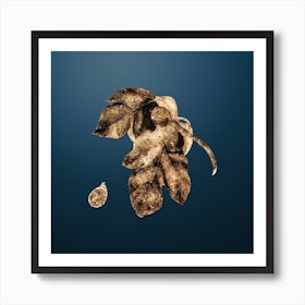 Gold Botanical Fig on Dusk Blue Art Print