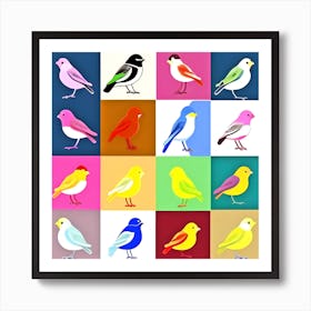 Colorful Birds 6 Art Print