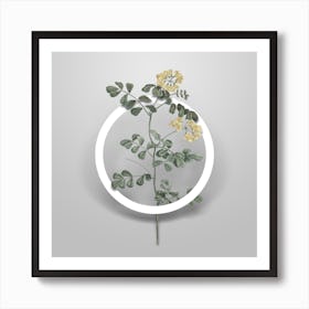 Vintage Scorpion Vetch Plant Minimalist Flower Geometric Circle on Soft Gray n.0365 Art Print