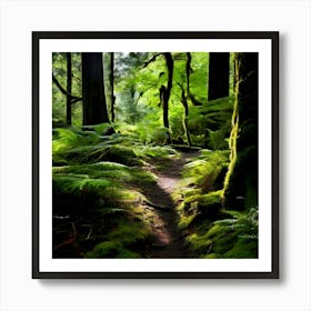 Trail In The Forest Art Print