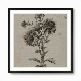 Bouquet Of Sunflowers Art Print