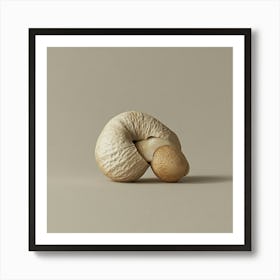 Nut Embryo Poster