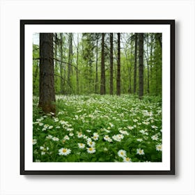 Daisies In The Forest Art Print