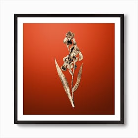 Gold Botanical Dalmatian Iris on Tomato Red n.0347 Art Print