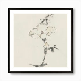 Carnation 1 Art Print