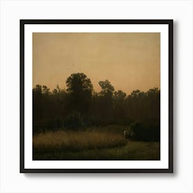 Sunset In The Woods Art Print