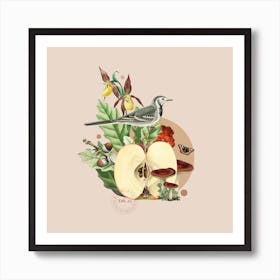 Flora & Fauna with Wagtail 1 Art Print