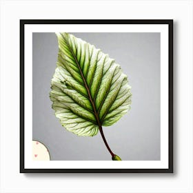 Pear leaf Art Print