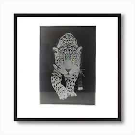 Leopard Print Poster