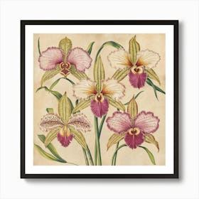 Orchids 2 The overall effect is a timeless and elegant depiction of orchids, reminiscent of classic botanical illustrations, high resolutionLess Art Print