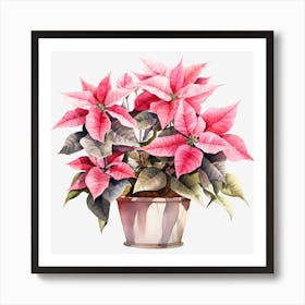 Poinsettia In A Pot 2 Affiche