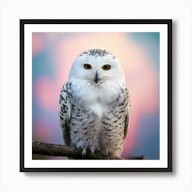 Firefly Owl, Soft, Peaceful, Smile, White, Wings, Down, Black, Big Eyes, Perched, Twig, Bokeh, Pink, Art Print