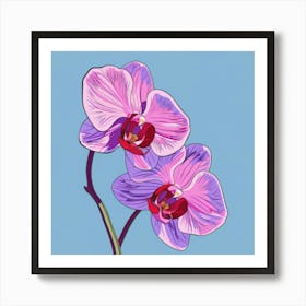 Orchids 13 Art Print