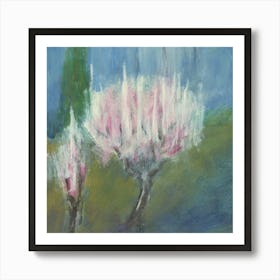 Apricot Blossom Art Print