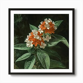 Orange Flowers In A Tree Art Art Print