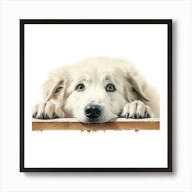 White Shepherd Dog 1 Art Print