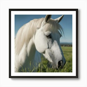 White Horse In The Grass Art Print