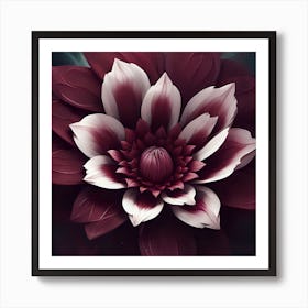 Dahlia 1 Art Print