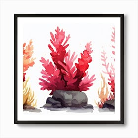 Editorial Art White Background Acropora Art Print