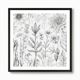 Flowers In Black And White Art Print