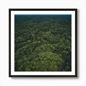 Ecuador Rainforest Art Print