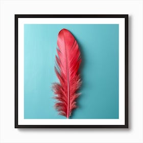 Red Feather On Blue Background Art Print