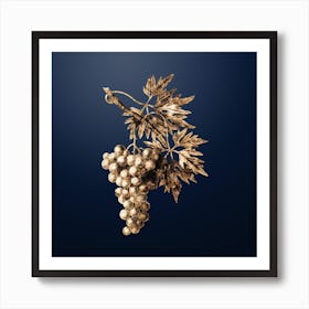 Gold Botanical Grape Vine on Midnight Navy n.4069 Art Print