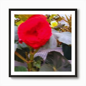 Red Flower In A Greenhouse Art Print