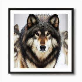 Luno the wolf 3 Art Print